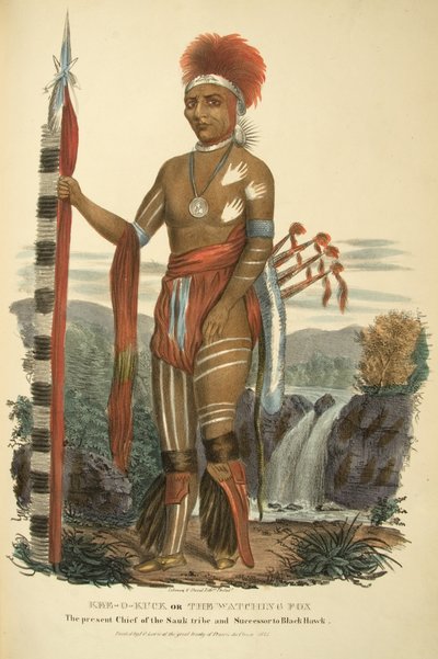 Kee-o-kuck or The Watching Fox by James Otto Lewis